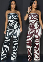 Women Sexy Print Two Piece Set Women Sexy Print Two Piece Set