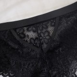 Sexy Lace Two-Piece Lingerie Set