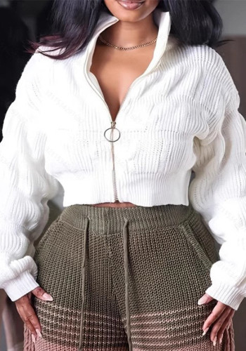 Women's Clothing Loose Long Sleeve Zipper High Collar Fashion Short Sweater