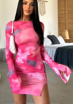 Women's Round Neck Long Sleeve Printed Chic Elegant Bodycon Dress Women's Round Neck Long Sleeve Printed Chic Elegant Bodycon Dress