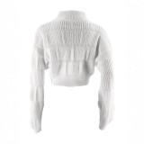 Women's Clothing Loose Long Sleeve Zipper High Collar Fashion Short Sweater