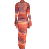 Women Round Neck Printed Long Sleeve Dress