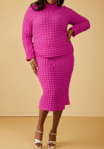 Plus Size Women Long Sleeve Round Neck Top and Skirt Two Piece Set