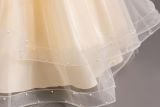 Girl beaded bow princess dress