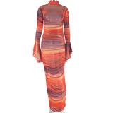 Women Round Neck Printed Long Sleeve Dress