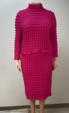 Plus Size Women Long Sleeve Round Neck Top and Skirt Two Piece Set