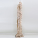 Sexy Long Sleeve See-Through Sequin Women's Evening Dress