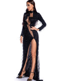 Sexy Long Sleeve See-Through Sequin Women's Evening Dress