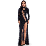 Sexy Long Sleeve See-Through Sequin Women's Evening Dress