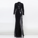 Sexy Long Sleeve See-Through Sequin Women's Evening Dress
