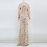 Sexy Long Sleeve See-Through Sequin Women's Evening Dress