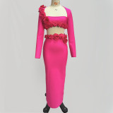 Solid Color Long Sleeve Flower Bandage Top Long Skirt Two-Piece Set