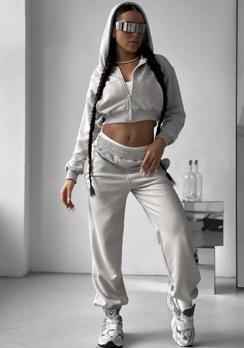 Women Casual Long Sleeve Hoodies and Sports PantsTwo Piece Set