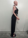 Women solid v-neck Halter Neck vest and PantTwo Piece Set