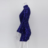 Sexy Long-Sleeved Sequin Women's Dress