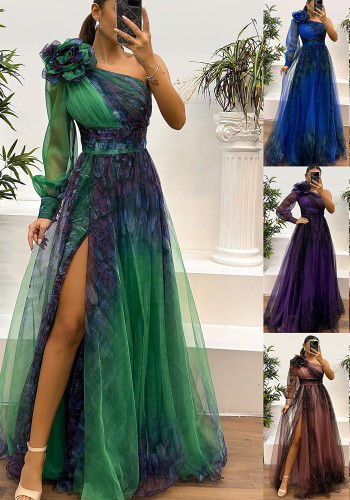 Women Slash Shoulder Mesh Print Dress