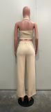 Women solid v-neck Halter Neck vest and PantTwo Piece Set