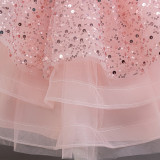 Autumn Winter Flower Girls' Evening Dress Children's Luxury Princess Dress