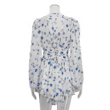 Women's Sexy Long Sleeve Printed Short Autumn Women's Dress