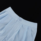 Women's Long Sleeve Shirt Skirt Two-Piece Set
