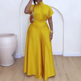 Satin Lace-Up Flying Sleeve Top Wide-Leg Pants Two-Piece Set