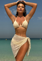 Sexy Solid Color Bikini Mesh Cover Up Three-Piece Swimsuit
