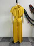Satin Lace-Up Flying Sleeve Top Wide-Leg Pants Two-Piece Set