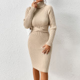 Women's Autumn And Winter Turtleneck Slim Sweater Dress