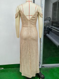 Sexy Low Back Sequin Long Women's Evening Dress