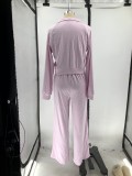 Women Fall/Winter Solid V-Neck Long Sleeve Casual Top and Pants Two-Piece Set