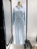Women Fall/Winter Solid V-Neck Long Sleeve Casual Top and Pants Two-Piece Set