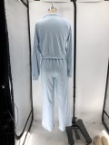 Women Fall/Winter Solid V-Neck Long Sleeve Casual Top and Pants Two-Piece Set
