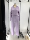 Women Fall/Winter Solid V-Neck Long Sleeve Casual Top and Pants Two-Piece Set