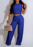 Women Sexy Vest Pleated Pants Two Piece Set