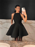 Spring Fashion Sexy Black High Waist Sleeveless Halter Neck Dress