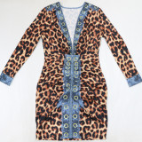 Fashion V-Neck Printed Women's Long Sleeve Bodycon Dress