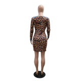 Fashion V-Neck Printed Women's Long Sleeve Bodycon Dress