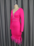 Feather Patchwork Deep V Diamond Long Sleeve Evening Dress
