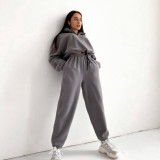 Women Casual zipper Stand Collar Hoodies and Pants two-piece suit