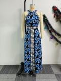 Printed Slim Waist Slit A-line Dress
