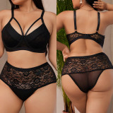 Plus Size Sexy Meshlace Patchwork Lingerie Set