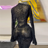 Women Elegant Half High Neck Lace Long Sleeve Bodycon Dress