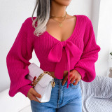 Fashion Autumn Winter Fashion Bowknot V-Neck Lantern Sleeve Crop Sweater