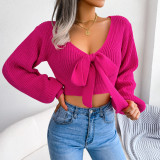 Fashion Autumn Winter Fashion Bowknot V-Neck Lantern Sleeve Crop Sweater