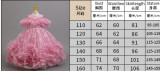 Girls' mesh print puffy skirt princess dress