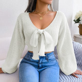 Fashion Autumn Winter Fashion Bowknot V-Neck Lantern Sleeve Crop Sweater
