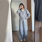 Women Fall Solid Crop Top And Pant Two-piece Set