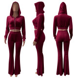 Women's Velvet Hooded Top Wide-Leg Pants Sports Casual Two Piece Set