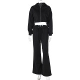 Women's Autumn Winter Fashion Zipper Hooded Crop Top Slim Casual Pants Two-Piece Set