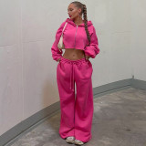 Women's Autumn Winter Fashion Zipper Hooded Crop Top Slim Casual Pants Two-Piece Set